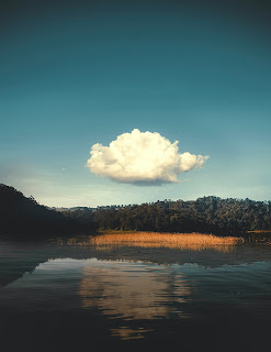 Single cloud over a forest and lake